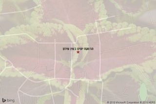 הרחקת יונים בעין עירון