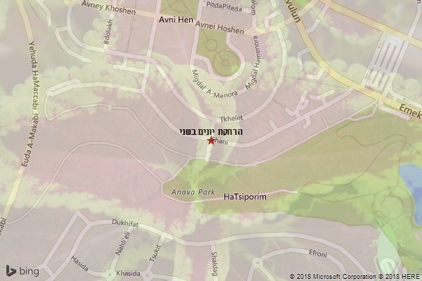 הרחקת יונים בשני