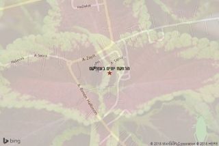 הרחקת יונים בעזריקם