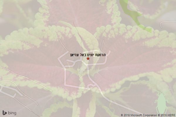 הרחקת יונים באל עריאן