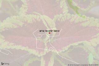 הרחקת יונים באל עריאן