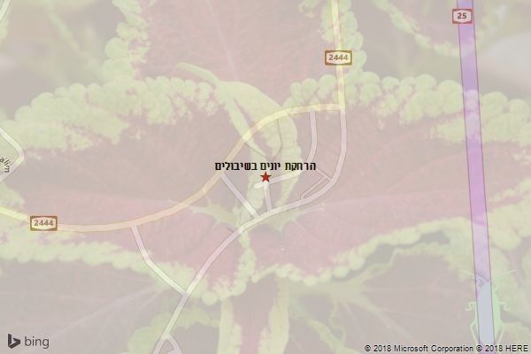 הרחקת יונים בשיבולים