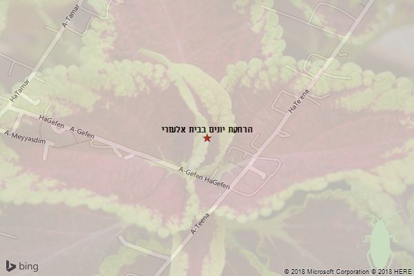 הרחקת יונים בבית אלעזרי