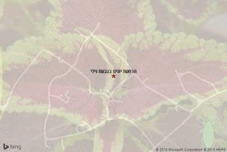 הרחקת יונים בגבעת נילי