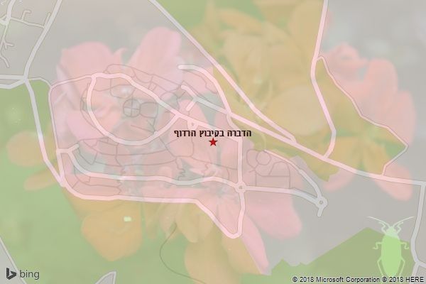 הדברה בקיבוץ הרדוף