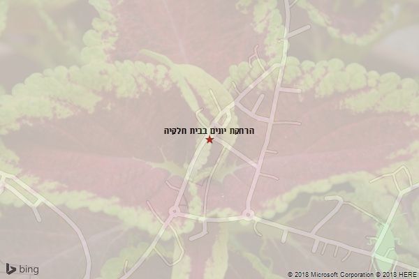 הרחקת יונים בבית חלקיה