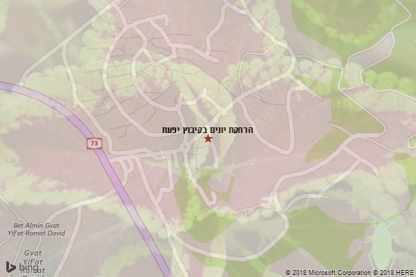 הרחקת יונים בקיבוץ יפעת