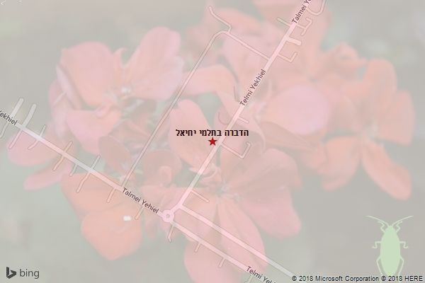 הדברה בתלמי יחיאל