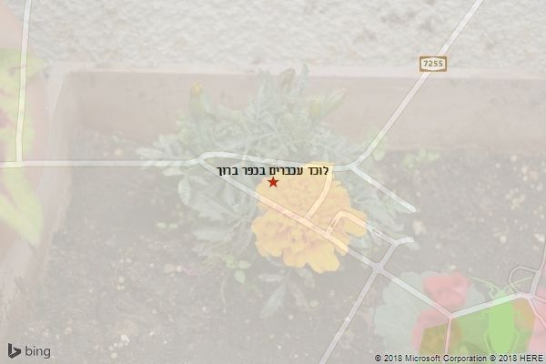 לוכד עכברים בכפר ברוך