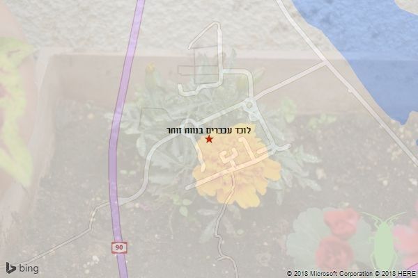 לוכד עכברים בנווה זוהר