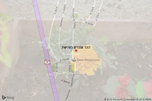 לוכד עכברים באלישיב