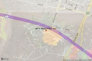 לוכד עכברים בהכפר הירוק