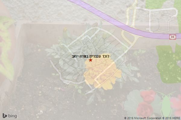 לוכד עכברים בשדה יואב