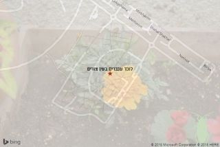 לוכד עכברים בעין צורים