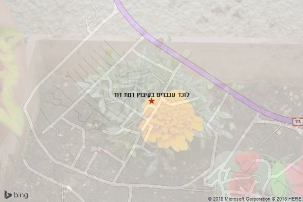 לוכד עכברים בקיבוץ רמת דוד