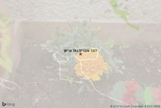 לוכד עכברים באל עריאן