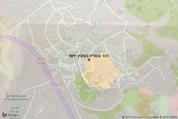 לוכד עכברים בקיבוץ יפעת