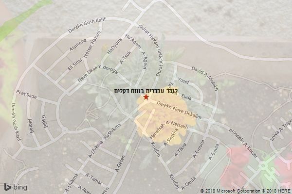 לוכד עכברים בנווה דקלים