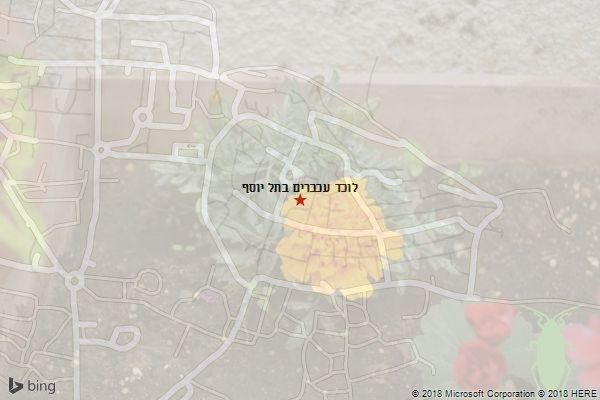 לוכד עכברים בתל יוסף