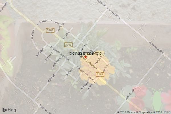 לוכד עכברים בשתולים