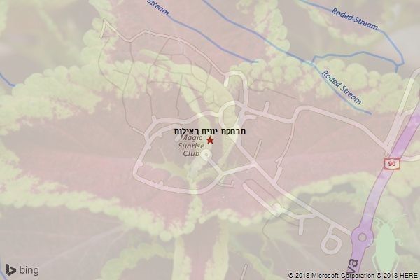 הרחקת יונים באילות