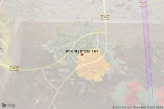 לוכד עכברים בשיבולים