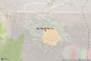 לוכד עכברים בצור נתן