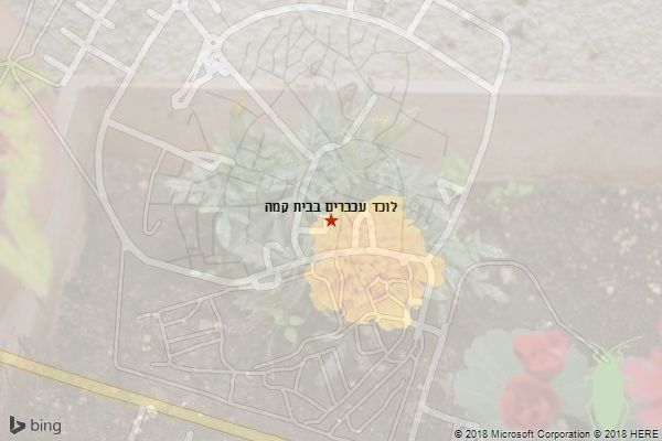 לוכד עכברים בבית קמה