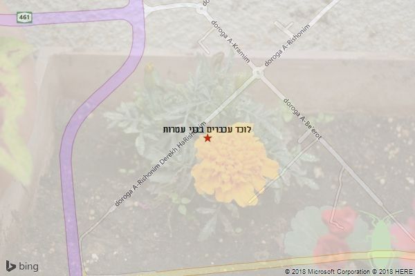 לוכד עכברים בבני עטרות