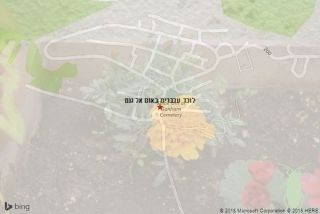 לוכד עכברים באום אל גנם