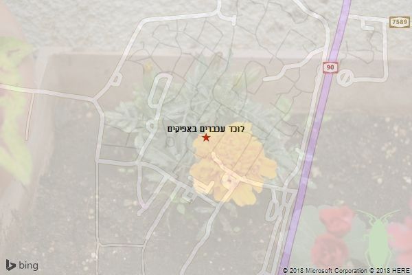 לוכד עכברים באפיקים