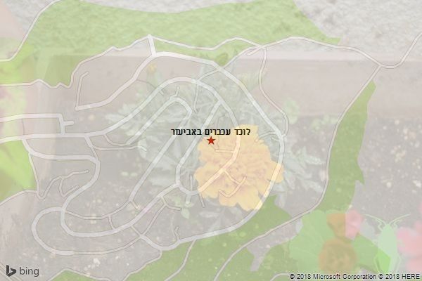 לוכד עכברים באביעזר