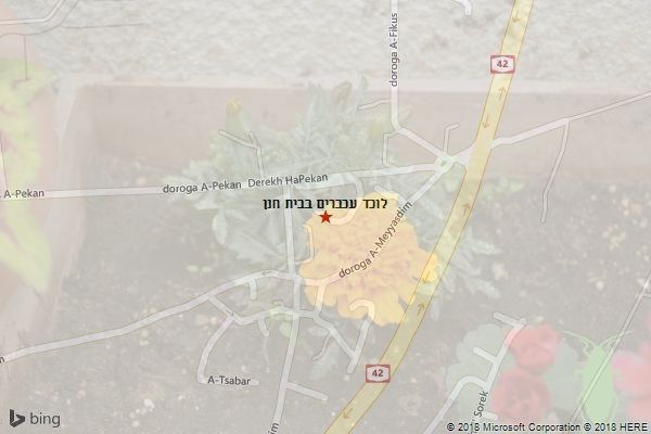 לוכד עכברים בבית חנן