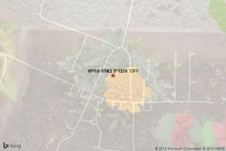 לוכד עכברים בשדה עוזיהו