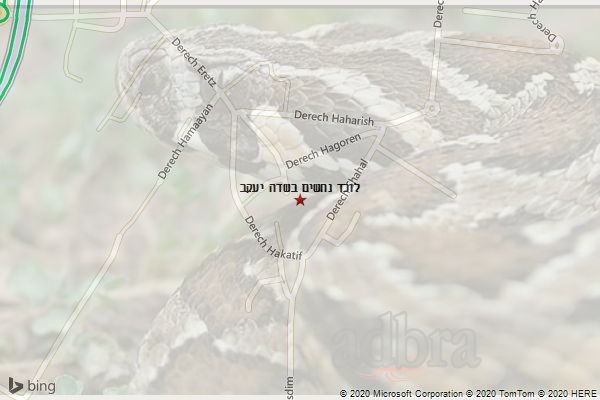 לוכד נחשים בשדה יעקב