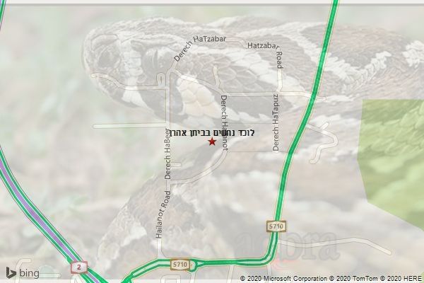 לוכד נחשים בביתן אהרן