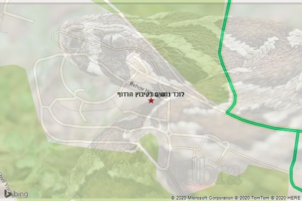 לוכד נחשים בקיבוץ הרדוף