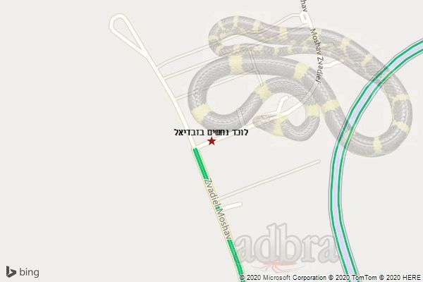 לוכד נחשים בזבדיאל