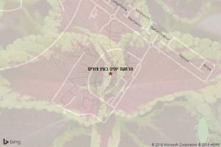 הרחקת יונים בעין צורים