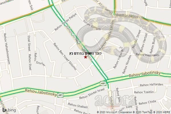 לוכד נחשים בפרדס כץ