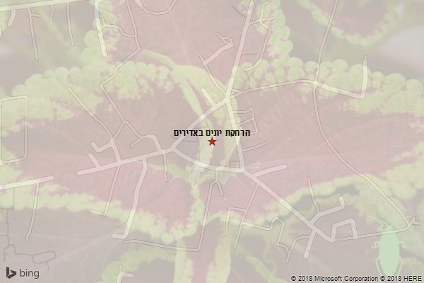 הרחקת יונים באדירים