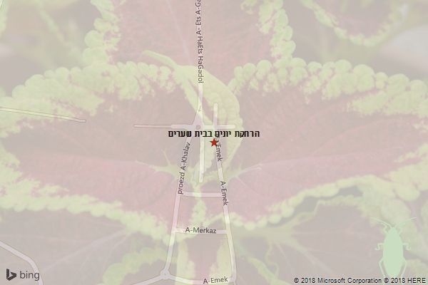 הרחקת יונים בבית שערים