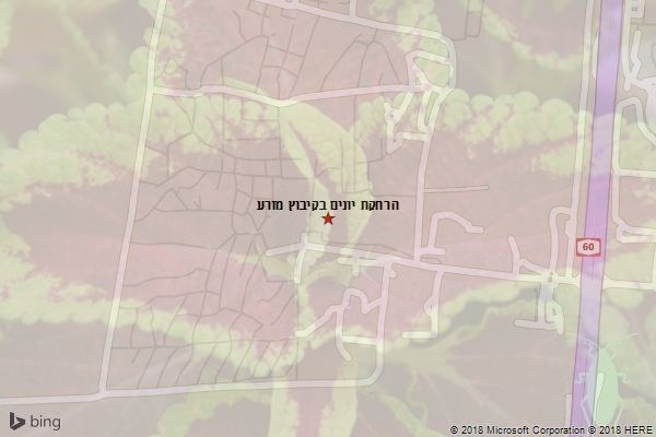 הרחקת יונים בקיבוץ מזרע