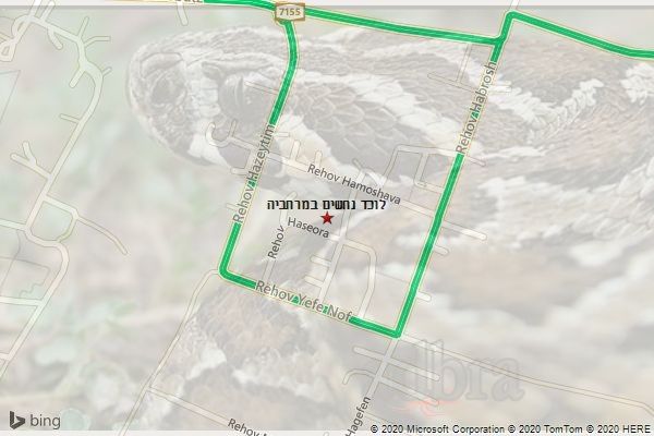 לוכד נחשים במרחביה