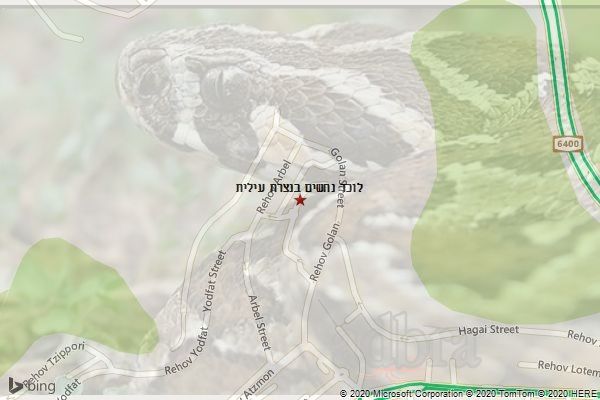 לוכד נחשים בנצרת עילית