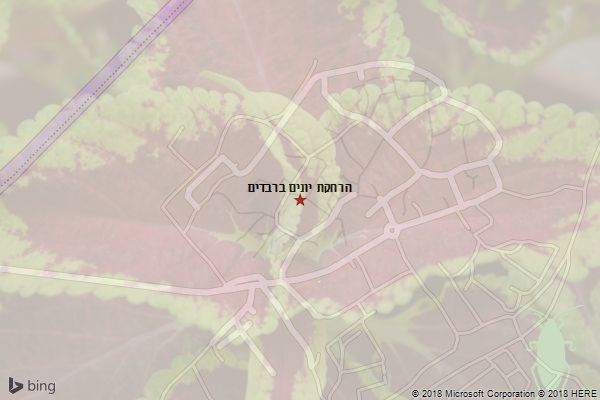 הרחקת יונים ברבדים