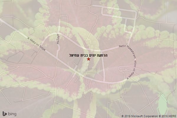 הרחקת יונים בבית עוזיאל