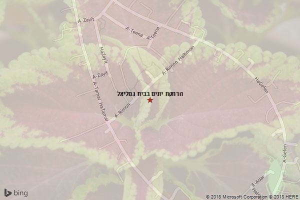 הרחקת יונים בבית גמליאל